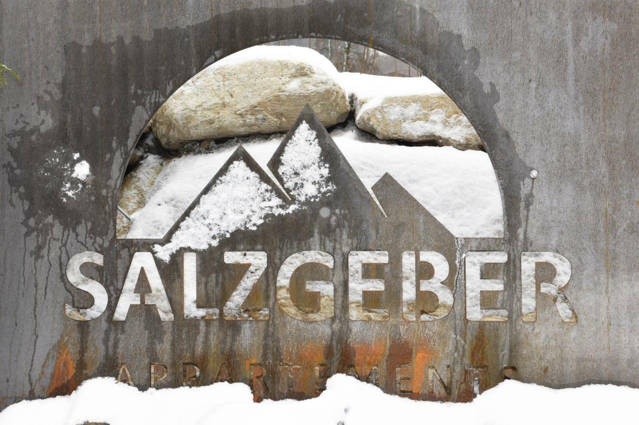 Salzgeber Appartements Sankt Gallenkirch Dış mekan fotoğraf